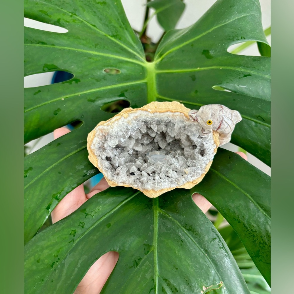 Dolphin Carving on Calcite